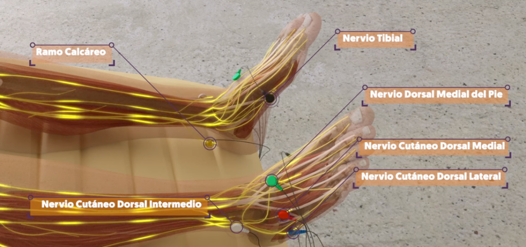 autonomic nervous system rehabilitation unit